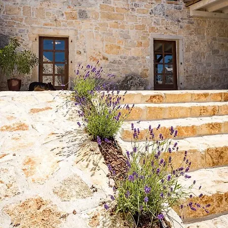 Stone House Dijana Istria Sveti Lovrec *